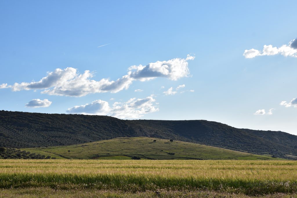 Los Cerrillos en Porzuna, fotografía realizada por Ikonox Marketing Digital